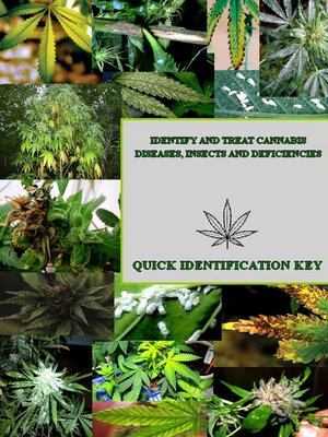 cover image of Identify and Treat Cannabis Diseases, Insects, and Deficiencies